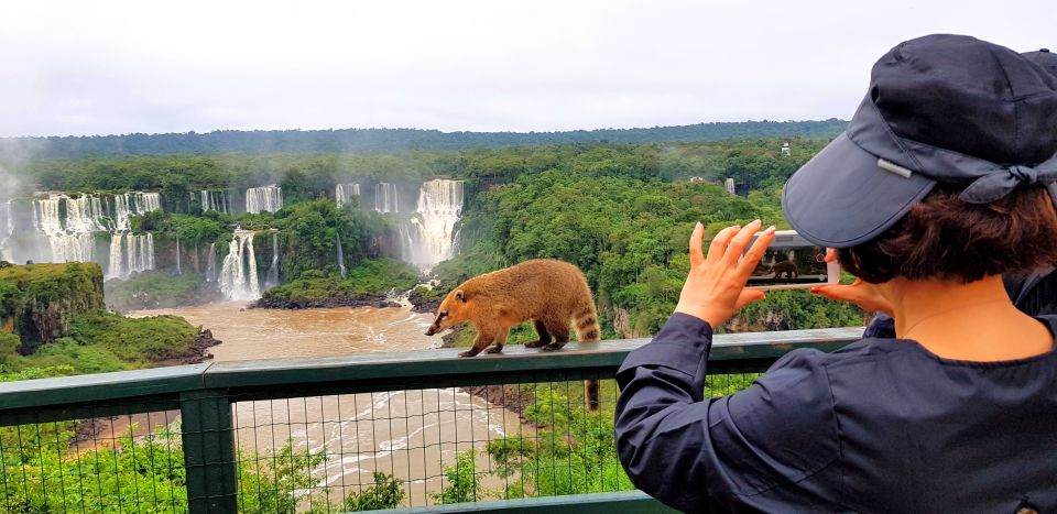 1 from puerto iguazu brazilian falls with boat adventure From Puerto Iguazu: Brazilian Falls With Boat Adventure