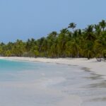 1 from punta cana day tour to saona island with buffet lunch From Punta Cana: Day Tour to Saona Island With Buffet Lunch