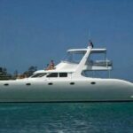 1 from punta cana saona island private guided catamaran tour From Punta Cana: Saona Island Private Guided Catamaran Tour
