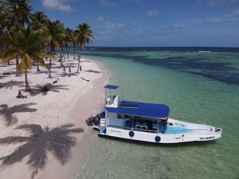 From Punta Cana: Saona Island Tour and Cruise With Lunch