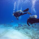 1 from safaga diving snorkeling trip 2 spots with lunch From Safaga: Diving & Snorkeling Trip 2 Spots With Lunch