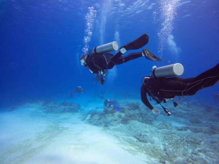 From Safaga: Diving & Snorkeling Trip 2 Spots With Lunch