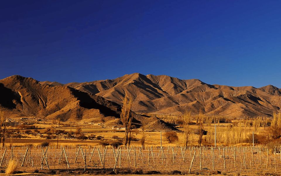 1 from salta cachi and los cardones national park tour From Salta: Cachi and Los Cardones National Park Tour