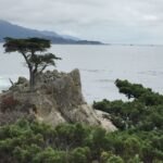 1 from san francisco carmel monterey big sur private tour From San Francisco: Carmel, Monterey & Big Sur Private Tour