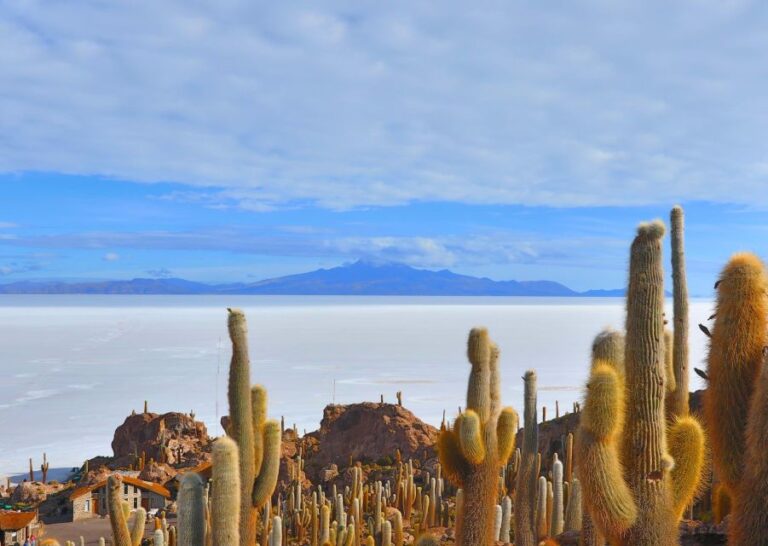From San Pedro De Atacama Uyuni Salt Flat 3 Days in Group