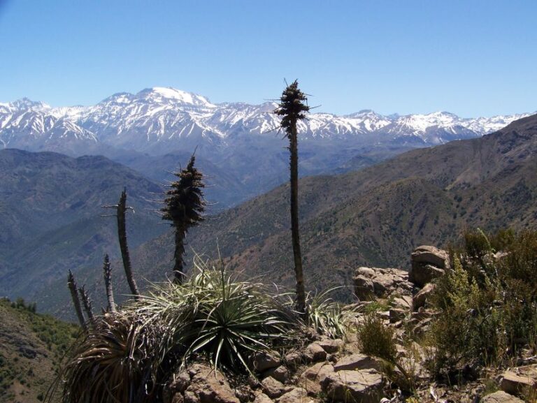 From Santiago: Half-Day Hike in the Andes Mountains