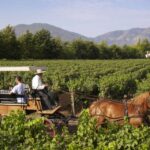 1 from santiago private colchagua valley wine tour w tasting From Santiago: Private Colchagua Valley Wine Tour W/ Tasting