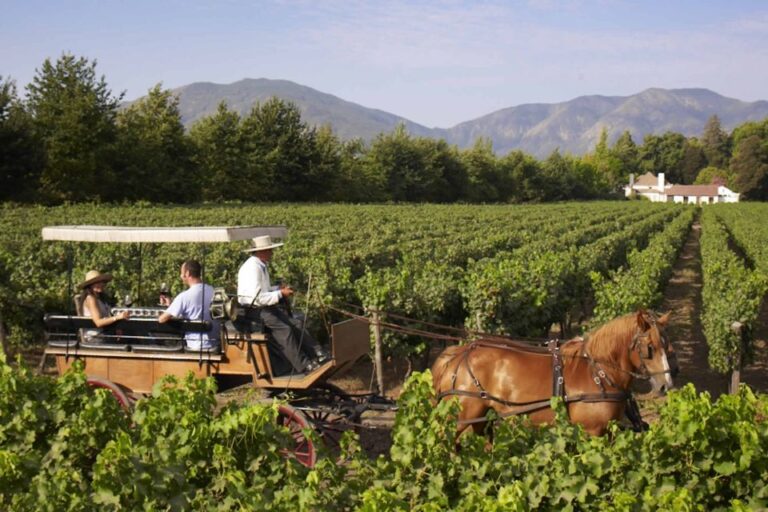 From Santiago: Private Colchagua Valley Wine Tour W/ Tasting