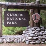 1 from seattle olympic national park full day tour From Seattle: Olympic National Park Full Day Tour
