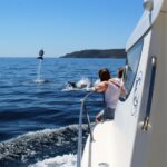1 from sesimbra arrabida dolphin watching boat tour From Sesimbra: Arrábida Dolphin Watching Boat Tour