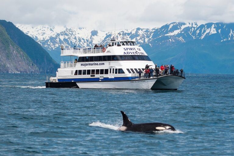 From Seward: Kenai Fjords National Park Cruise With Lunch