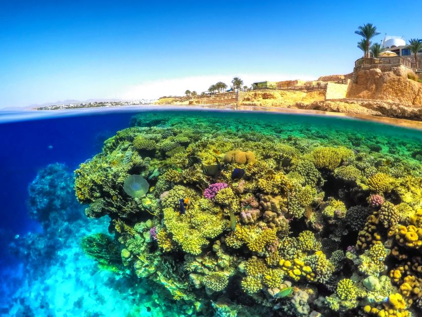 1 from soma bay and makadi sharm el naga snorkeling trip From Soma Bay and Makadi: Sharm El Naga Snorkeling Trip