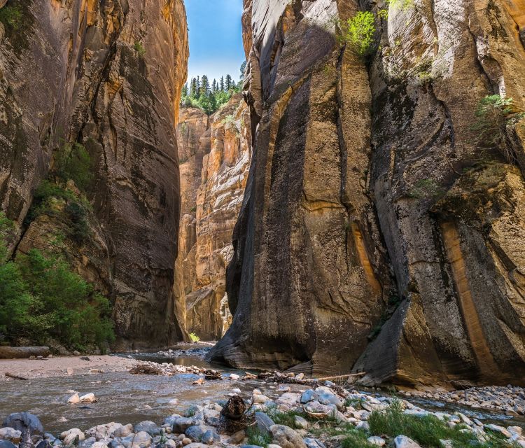 From Springdale: the Zion Narrows Hike With Lunch