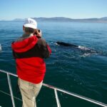 1 from stellenbosch hermanus whale route tour From Stellenbosch: Hermanus Whale Route Tour