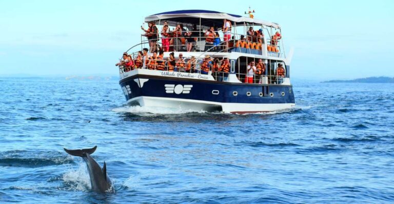 From Tangalle: Mirissa Whale Watching Tour With Breakfast