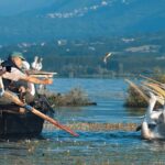 1 from thessaloniki day trip to kerkini lake From Thessaloniki: Day Trip to Kerkini Lake