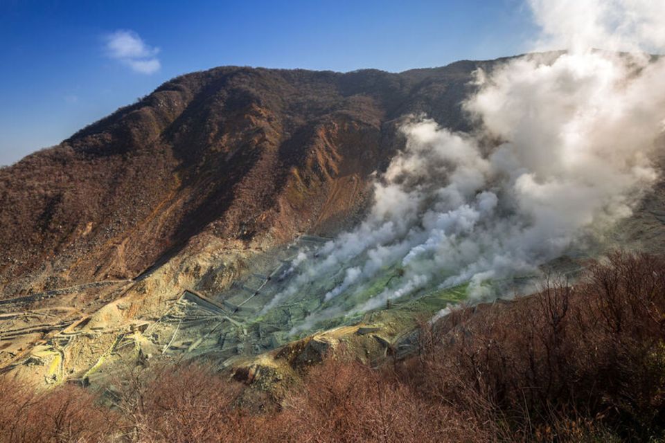 1 from tokyo hakone and owakudani private day trip From Tokyo: Hakone and Owakudani Private Day Trip