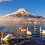 1 from tokyo mount fuji and hakone private day trip From Tokyo: Mount Fuji and Hakone Private Day Trip