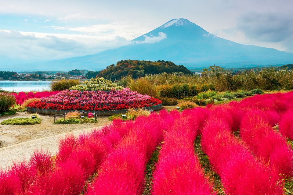 1 from tokyo mt fuji full day sightseeing trip From Tokyo: Mt. Fuji Full-Day Sightseeing Trip