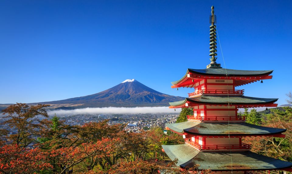 1 from tokyo mt fuji or hakone private sightseeing day trip From Tokyo: Mt. Fuji or Hakone Private Sightseeing Day Trip