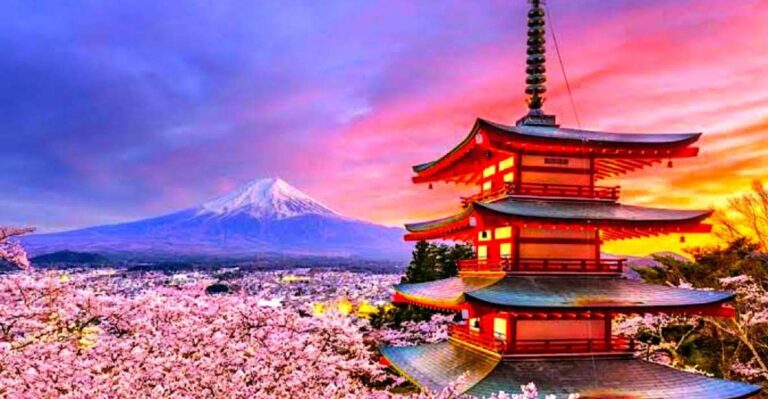 From Tokyo: Private Mount Fuji and Hakone Full-Day Trip