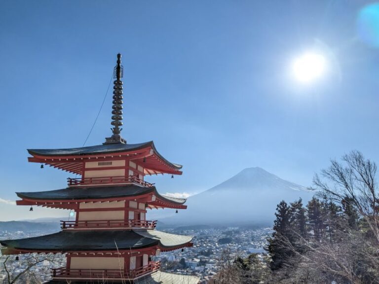 From Tokyo: Private Mount Fuji Tour With Medical Assistance