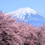 1 from tokyo to mount fuji full day tour and hakone cruise From Tokyo to Mount Fuji: Full-Day Tour and Hakone Cruise