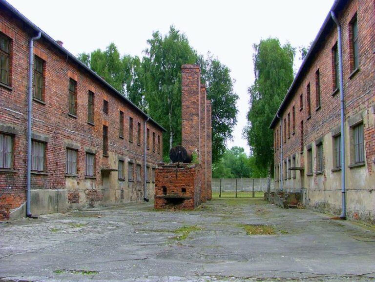 From Warsaw: Full Day Guided Trip to Auschwitz-Birkenau