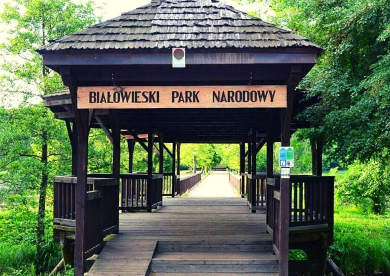 From Warsaw: Small-Group Tour to Bialowieza National Park