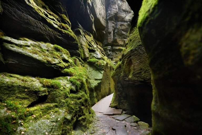 From Wroclaw: Hiking Trail in Rock City