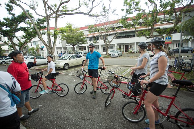 Full-Day Bike and Food Tour of Singapore