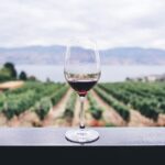 1 full day boutique wine tour with pick up and lunch Full-Day Boutique Wine Tour With Pick up and Lunch