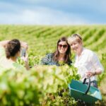 1 full day champagne pommery small group tour Full Day Champagne Pommery Small Group Tour