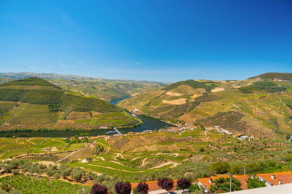 Full-Day Douro Wine Tour With Lunch and River Cruise - Tour Highlights and Experiences