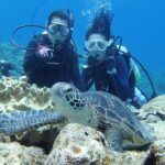 1 full day experience diving trip at kerama islands Full Day "Experience Diving" Trip at Kerama Islands