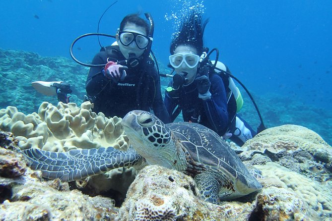 Full Day “Experience Diving” Trip at Kerama Islands