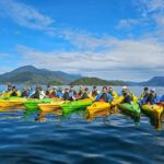 1 full day guided sea kayak tour from picton Full Day Guided Sea Kayak Tour From Picton