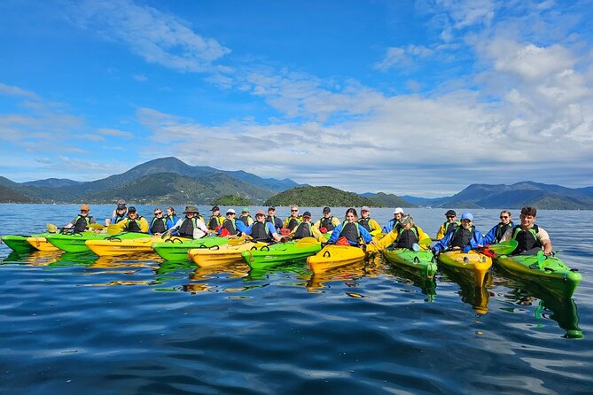 Full Day Guided Sea Kayak Tour From Picton