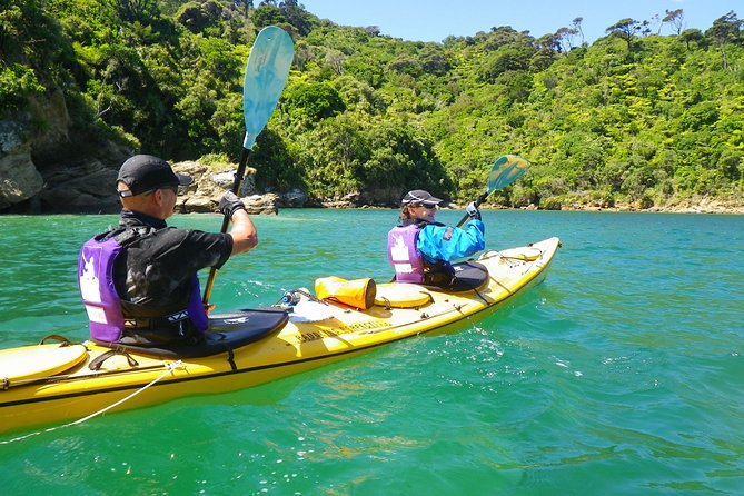1 full day guided sea kayak trip from picton Full-Day Guided Sea Kayak Trip From Picton