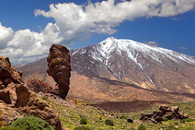Full Day Guided Tour of Teide by Cabrio Bus