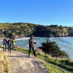 1 full day guided walking tour and picnic on banks peninsula Full Day Guided Walking Tour and Picnic on Banks Peninsula