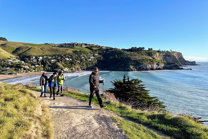 Full Day Guided Walking Tour and Picnic on Banks Peninsula