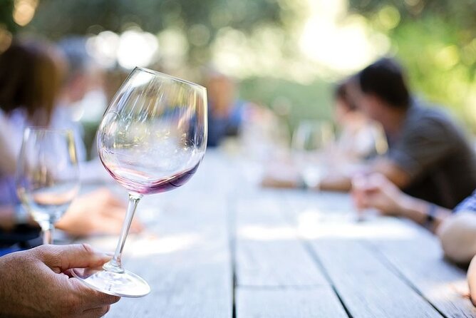 Full-Day Guided Wine Tasting Tour in Côtes De Provence