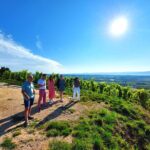 1 full day guided wine tour with tasting and lunch Full Day Guided Wine Tour With Tasting and Lunch