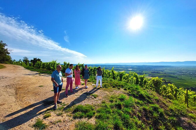 1 full day guided wine tour with tasting and lunch Full Day Guided Wine Tour With Tasting and Lunch