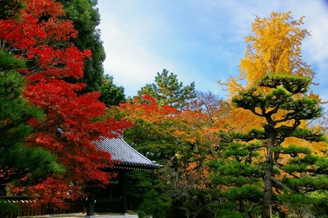 Full Day Hidden Kyotogenic for Autumn Tour in Kyoto