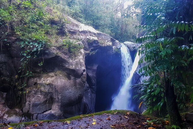 1 full day hiking tour in minca with coffee cocoa workshop Full-Day Hiking Tour in Minca With Coffee & Cocoa Workshop