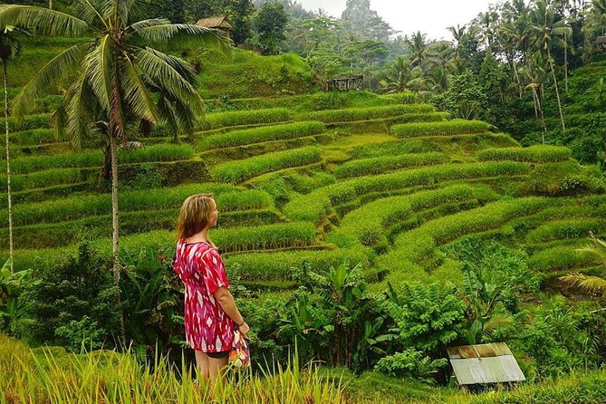 Full-Day in Bali: Private Design-Your-Own Tour
