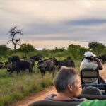 1 full day isimangaliso wetlands park tour from durban Full Day Isimangaliso Wetlands Park Tour From Durban