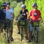 1 full day marlborough wine region bike hire Full-Day Marlborough Wine Region Bike Hire